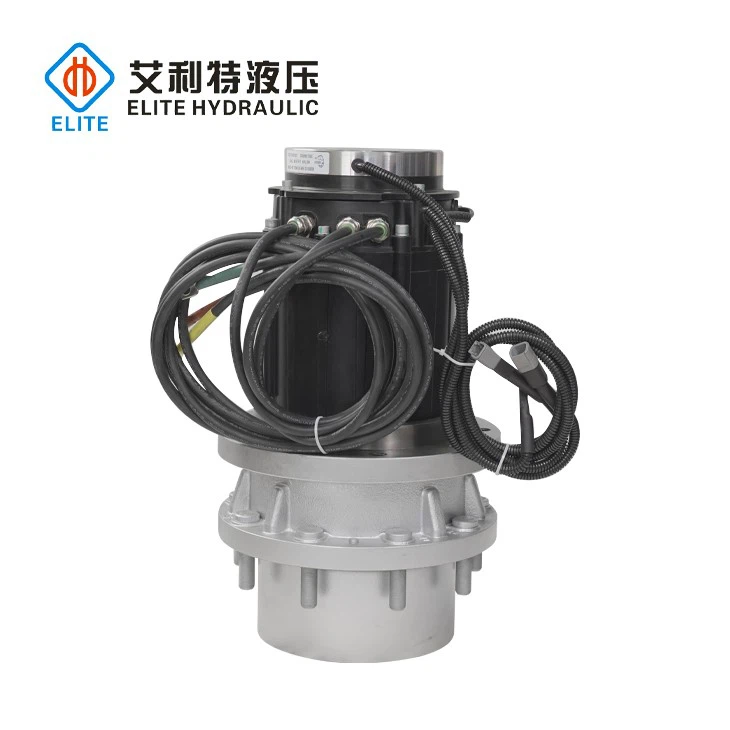 China electric wheel drives